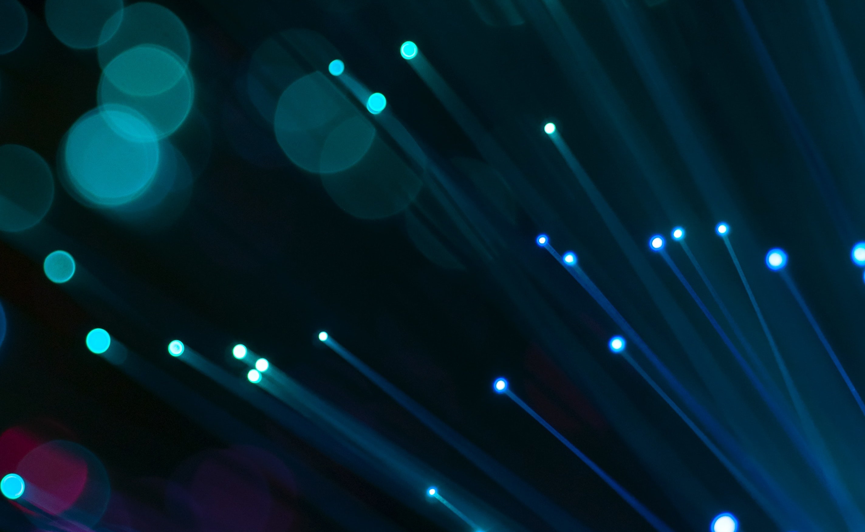 What is Data Masking?